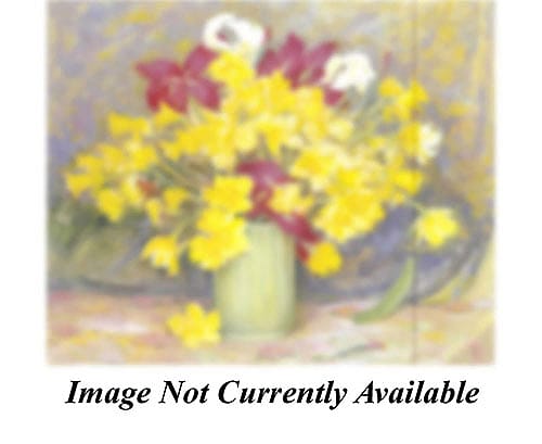Spring-Jonquils and Iris